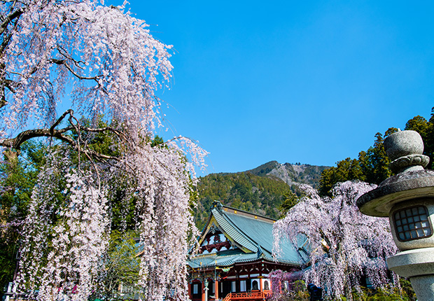 日本の古寺・寺院 100選「久遠寺」／ホームメイト