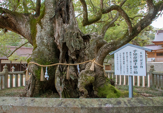 ①大屯・新高・阿里山・次高タロコ②富士箱根③十和田④日光⑤大山・瀬戸内海　銭単位 日本の神社100選「大山祇神社」／ホームメイト
