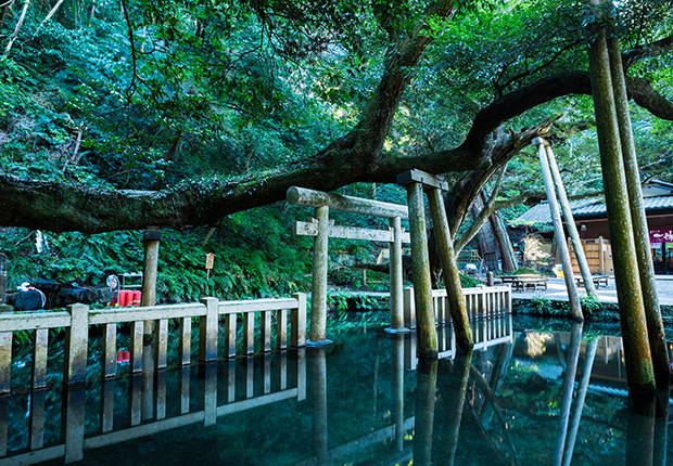 日本の神社100選「鹿島神宮」／ホームメイト